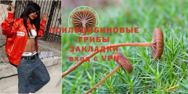 ГАЛЛЮЦИНОГЕННЫЕ ГРИБЫ Рославль