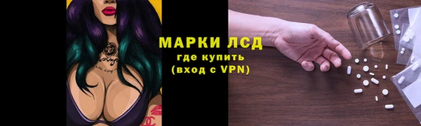 дмт Абаза