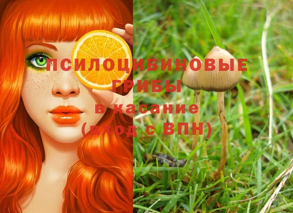 прущая мука Абдулино