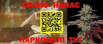 прущие грибы Ирбит