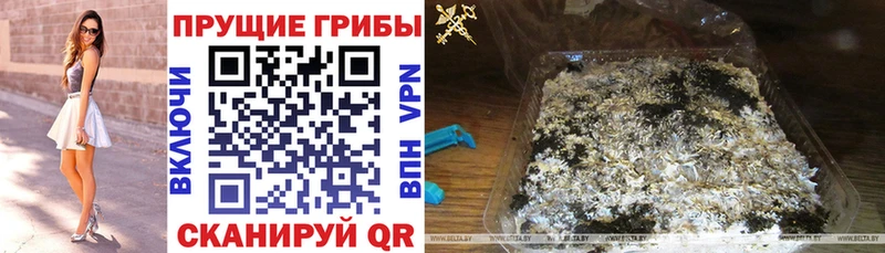 Галлюциногенные грибы мицелий Нягань
