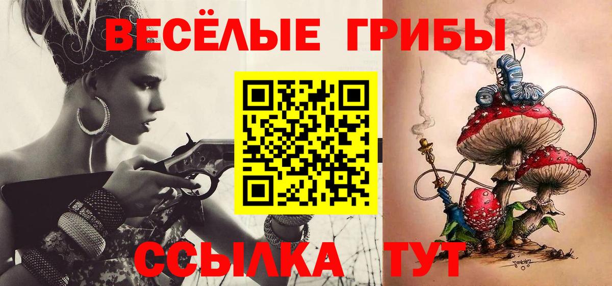 Галлюциногенные грибы Cubensis Нягань