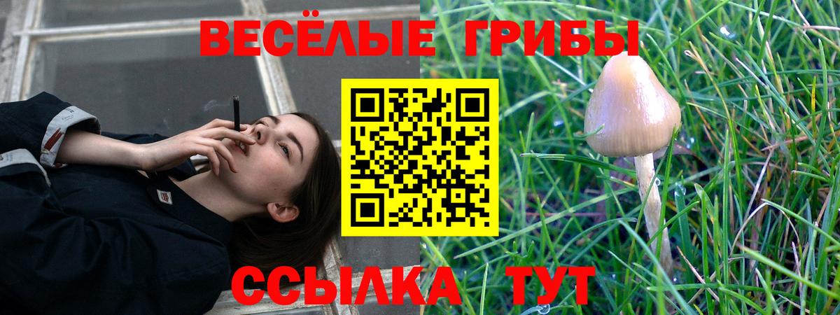 Галлюциногенные грибы ЛСД  Псилоцибиновые грибы прущие грибы  Нягань  Вход с VPN 